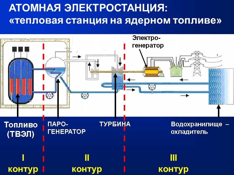I контур II контур III контур АТОМНАЯ ЭЛЕКТРОСТАНЦИЯ:  «тепловая станция на ядерном топливе»